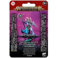 Tzeentch Arcanites: Tzaangor Shaman