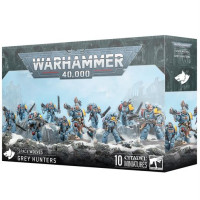 Space Wolves: Grey Hunters