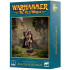 Beastmen Brayherds: Beastman Shaman