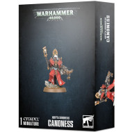 Adepta Sororitas: Canoness
