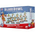 Amazon Blood Bowl Team: Kara Temple Harpies
