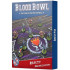 Dark Elf Team – Double-sided Pitch and Dugouts Set