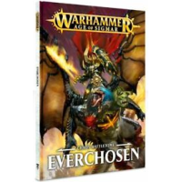 Everchosen Chaos Battletome - brukt
