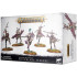 Hedonites of Slaanesh: Slickblade Seekers