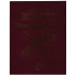 Advanced Dungeons And Dragons 2nd Edition: Wizards And Rogues of the Realms SC