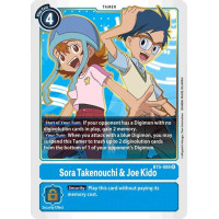 Sora Takenouchi And Joe Kido (Battle of Omni)