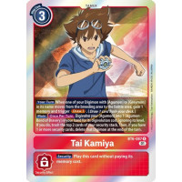 Tai Kamiya (Double Diamond)