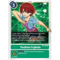 Yoshino Fujieda (Great Legend)