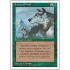 Aspect of Wolf (4th Edition)