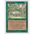 Carnivorous Plant (4th Edition)