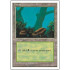 Forest v.1 (4th Edition)
