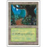 Forest v.3 (4th Edition)