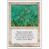 Green Ward (4th Edition)