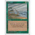 Hurricane (4th Edition)