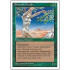 Shanodin Dryads (4th Edition)