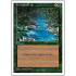 Stream of Life (4th Edition)
