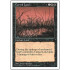 Cursed Land (5th Edition)
