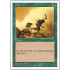 Fog (5th Edition)