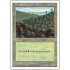Forest v.1 (5th Edition)