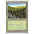 Forest v.3 (5th Edition)