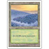 Forest v.4 (5th Edition)