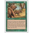 Grizzly Bears (5th Edition)