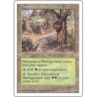 Havenwood Battleground (5th Edition)