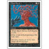 Mind Ravel (5th Edition)