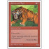 Sabretooth Tiger (5th Edition)