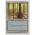 Swamp v.4 (5th Edition)