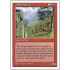 Wall of Stone (5th Edition)