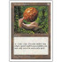 Wooden Sphere (5th Edition)