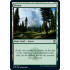 Forest v1 (Adventures in the Forgotten Realms)