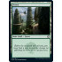 Forest v4 (Adventures in the Forgotten Realms)