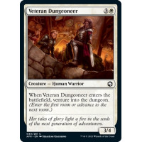 Veteran Dungeoneer (Adventures in the Forgotten Realms)