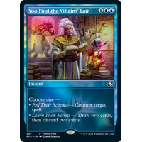 You Find the Villains' Lair (Adventures in the Forgotten Realms)