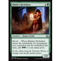 Hidden Herbalists (Aether Revolt)
