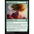 Unbridled Growth (Aether Revolt)
