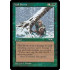 Hail Storm (Alliances)