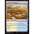 Irrigated Farmland (Amonkhet)