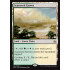 Scattered Groves - Foil (Amonkhet)