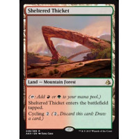 Sheltered Thicket (Amonkhet)