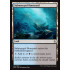 Submerged Boneyard (Amonkhet)