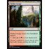 Timber Gorge (Amonkhet)
