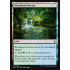 Woodland Stream (Amonkhet)
