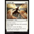 Angelic Gift (Battle for Zendikar)