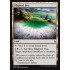 Blighted Fen (Battle for Zendikar)