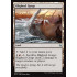 Blighted Gorge (Battle for Zendikar)