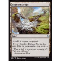 Blighted Steppe (Battle for Zendikar)