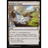 Blighted Steppe (Battle for Zendikar)